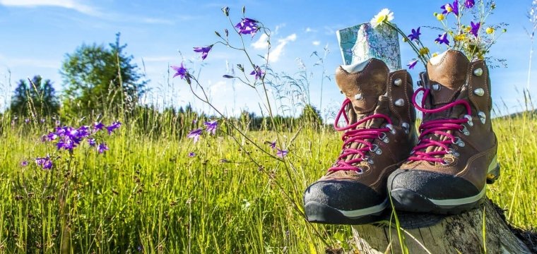 Športni dan za 4. razred: pohod na Zajamnike