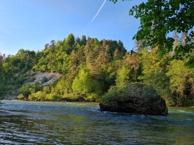 Najboljše počitnice doslej (pismo ravnatelja) slika 1